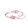 Simple TitaniumStainless Steel  bracelet Geometric Rose alloy  NHIM1056Rose alloypicture7